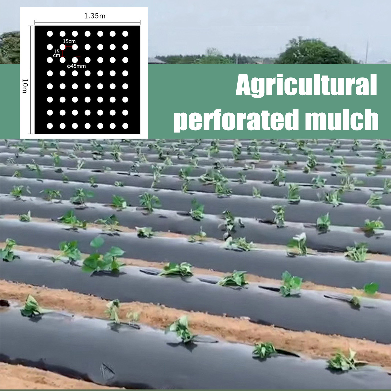 Greenhouse Plastic Film - ПЭ перфорированная мульчирующая пленка для сада